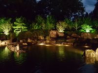 Botanischer Garten Lichtnacht